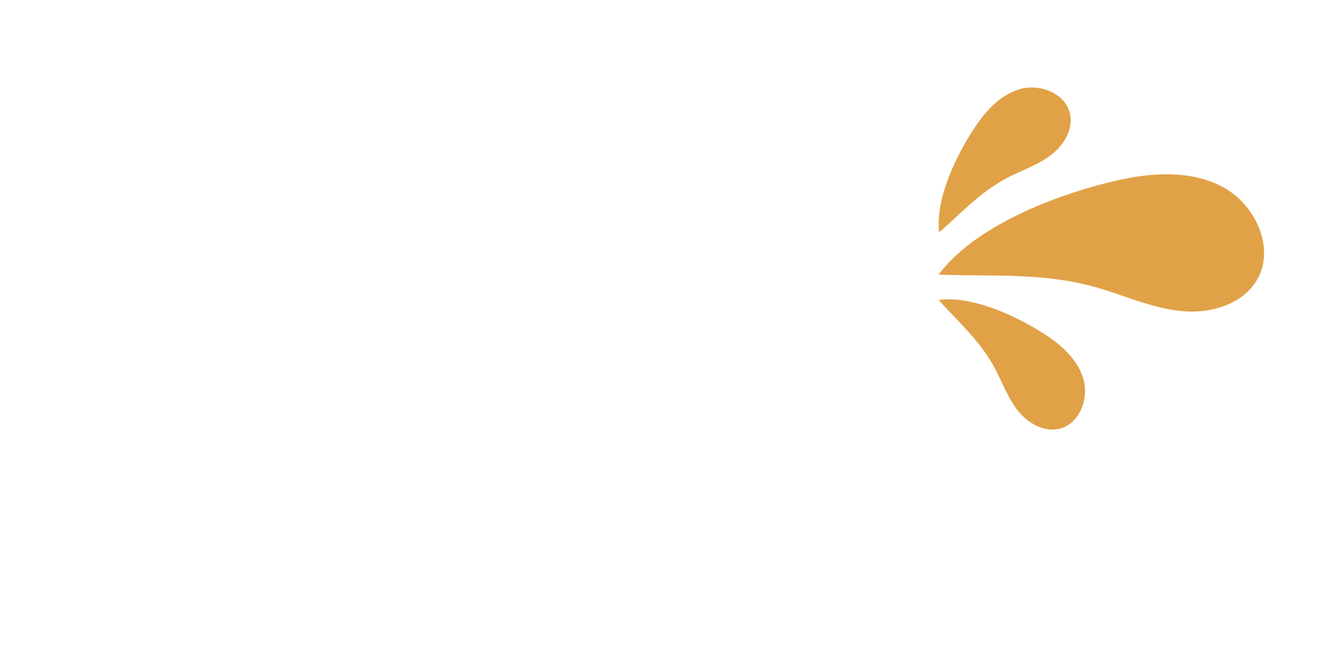 El Mitote Festival Internacional